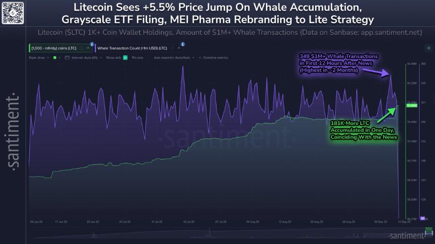 莱特币价格飙升，巨鲸增持18.1万LTC因ETF申请与机构兴趣推动