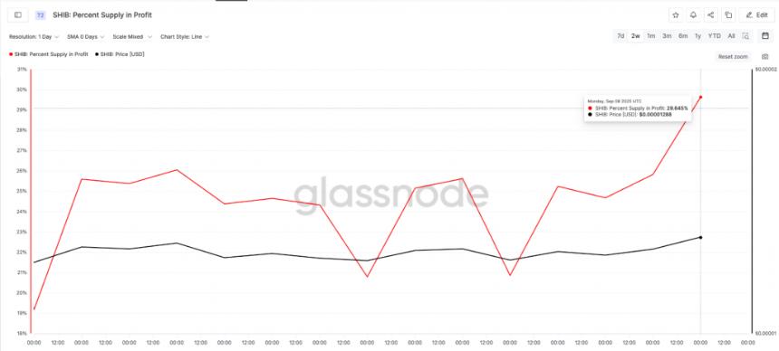 SHIB percent supply in profit chart
