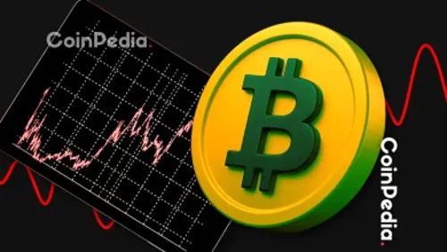 比特币鲸鱼持续囤币，突破10万美金后目标13万