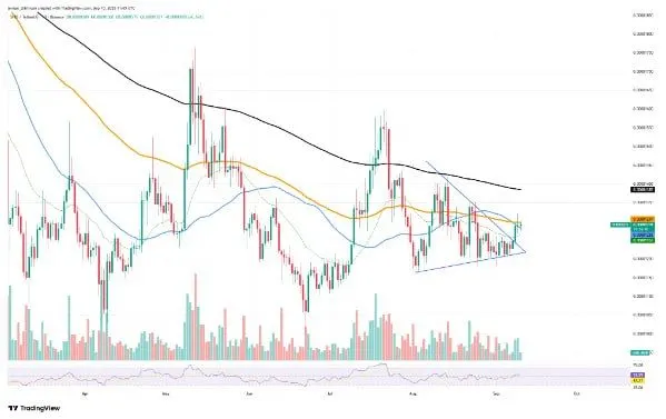  大量柴犬代币流出预示未来潜在的牛市 