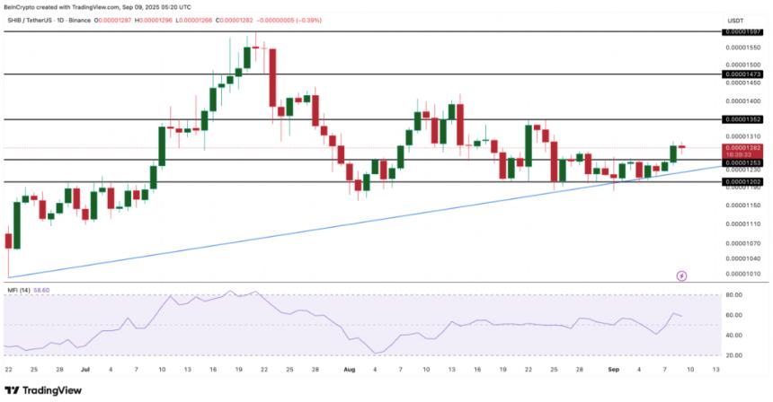 SHIB daily candlestick chart with trend analysis