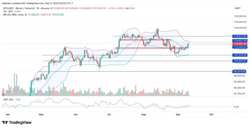  比特币鲨鱼正在大量囤币——这对比特币价格意味着什么 