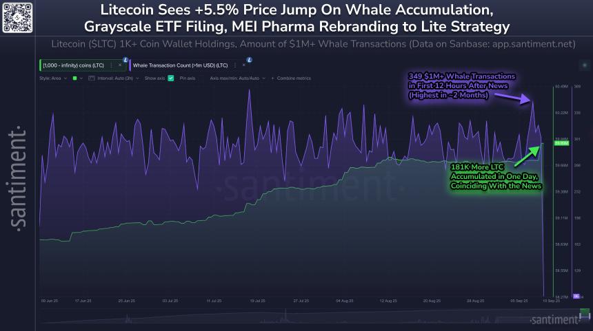  莱特币飙升，巨鲸抢购 181,000 LTC 