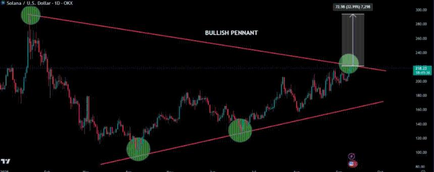 Solana价格本周期能达到1000美元吗？