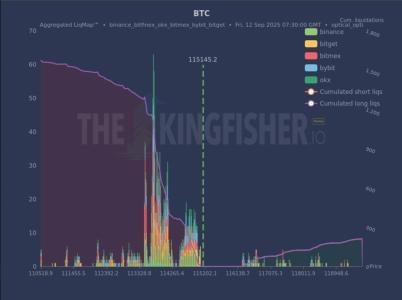 比特币波动加剧：9位数鲸鱼押注多头，清算风险逼近114,500美元