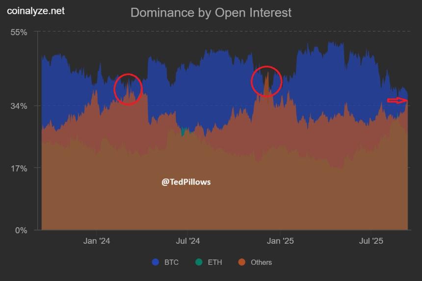  随着市场顶部逼近，山寨币闪现红旗——详情 