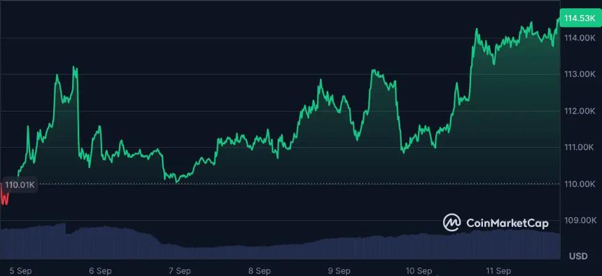 MAGACOIN FINANCE的预售机制与社区增长