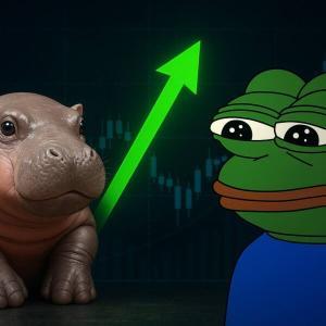 Moodeng领涨Solana生态，比特币波动与Layer2动态引关注