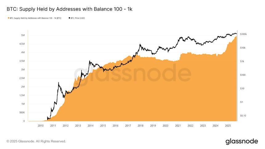 比特币鲨鱼持仓量创历史新高，分析师预测比特币将上涨 25 万美元