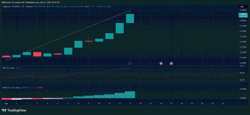 从模因到中流砥柱：狗狗币的旅程为何不是玩笑！