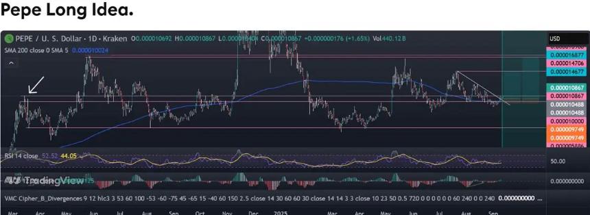 佩佩代币波动性与机遇共存