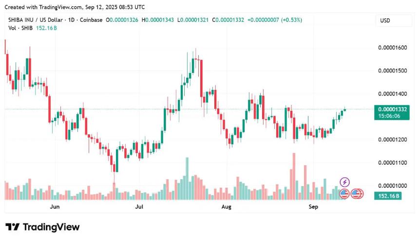 柴犬抛售推动 Layer Brett 投资热潮，交易者期待百倍增长