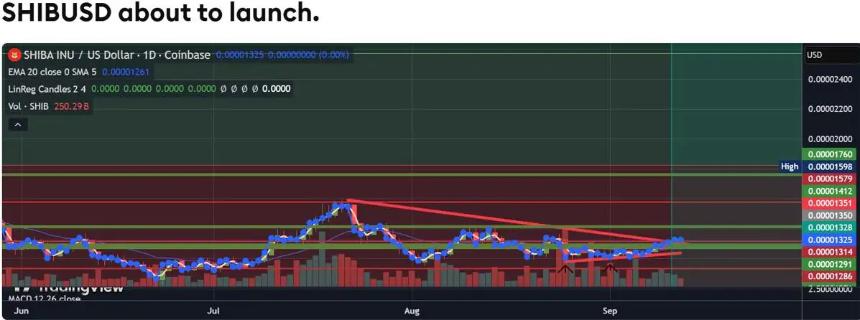 Shiba Inu 强势上涨，成为市场焦点