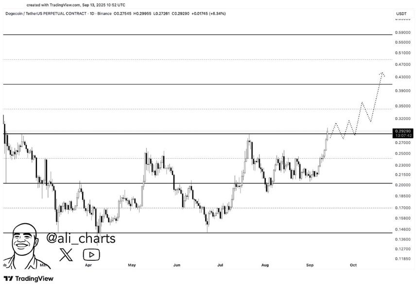 狗狗币未来或涨至0.45美元，分析师看好价格翻倍潜力