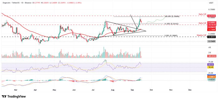 Meme Coins价格分析：狗狗币、柴犬币和佩佩币回调为未来反弹蓄力