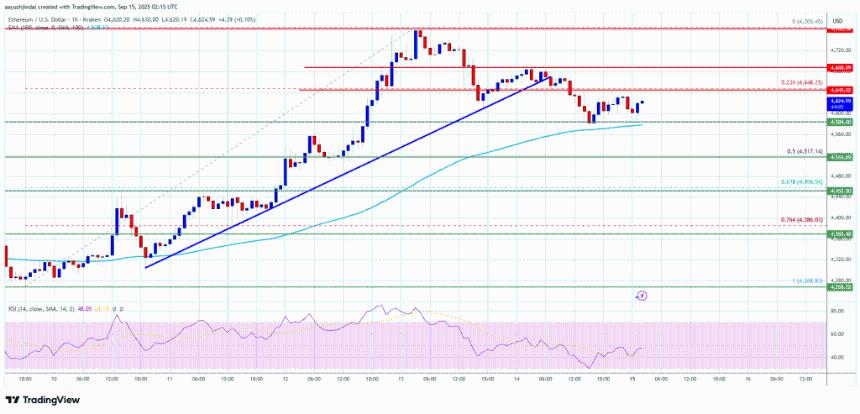 以太坊价格回调有限 – 支撑位可能再次引发上涨