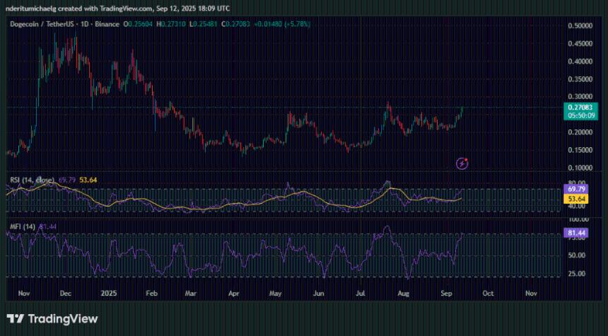  DOGE ETF 推出延期，狗狗币价格将走向何方？ 