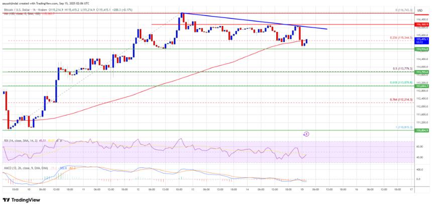 比特币巩固涨幅——接下来会有更大的动作吗？