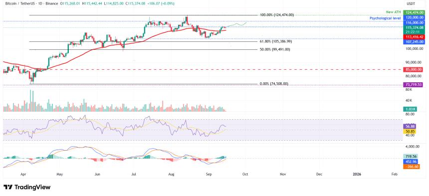 比特币价格预测