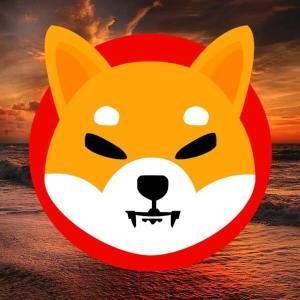 SHIB Layer2遭240万美元攻击后价格走势如何？市场趋势与修复进展解析