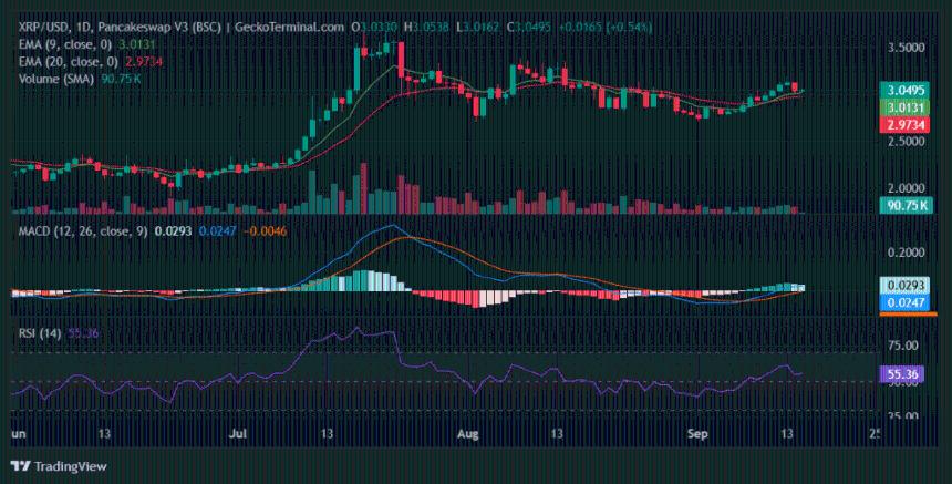 XRP 突破 3.10 美元大关，竞价墙增强支撑