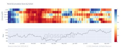 比特币全群体进入净抛售状态 市场盘整预期延续至9月
