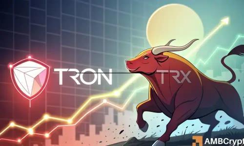 TRON期货净流激增170% USDT供应达230亿 看涨信号浮现