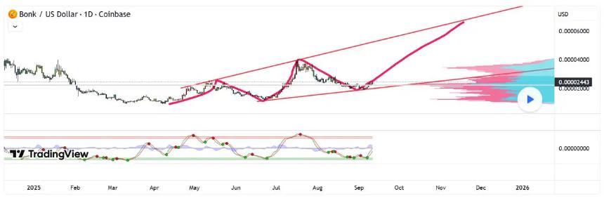 Bonk Coin热度回升