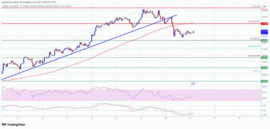 Solana（SOL）修正了部分涨幅——更大的回调即将到来吗？
