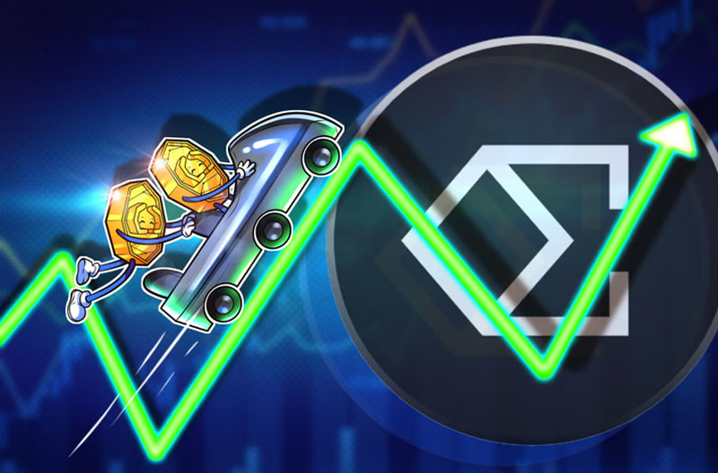 2025第四季度山寨币DAT投资避坑指南：关键事项与市场趋势解析