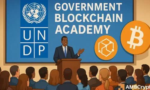 联合国开发计划署推政府区块链学院，加速全球数字转型