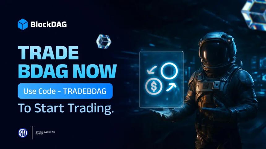 BlockDAG 的生态系统与硬件布局