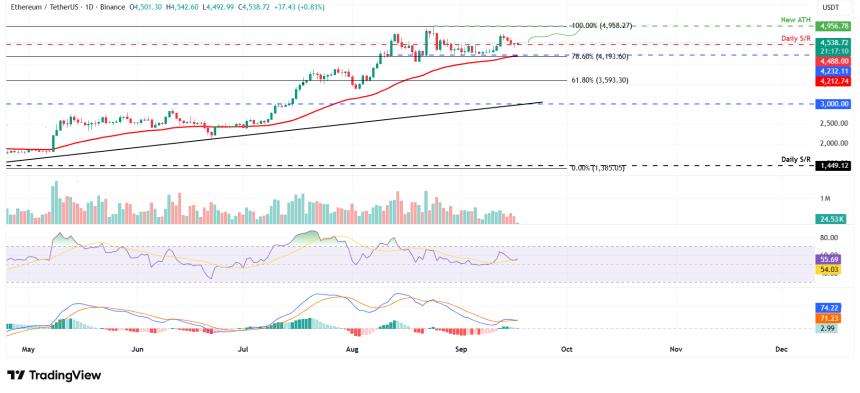比特币、以太坊和瑞波币价格预测：美联储利率决议或成市场波动关键