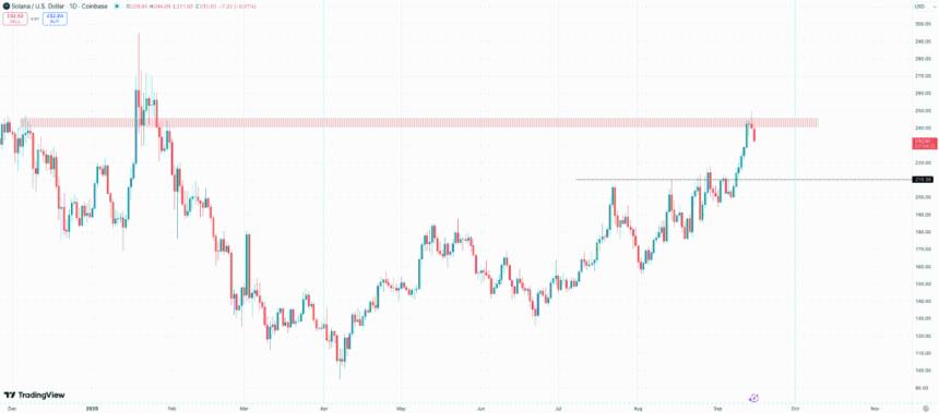 Solana价格预测：ETF前景与Snorter ICO热潮推动SOL迈向300美元大关