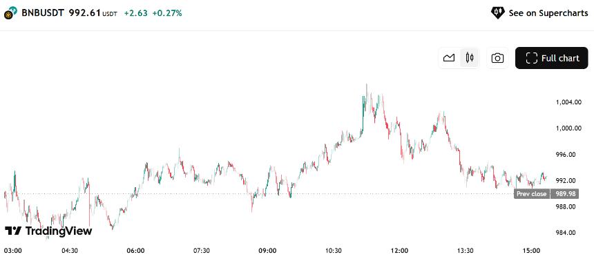 BNB价格飙升突破1000美元，市场活跃度与机构支持推动新高