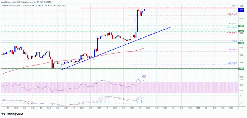  BNB 价格上涨至 1,000 美元附近 – 多头能否进一步上涨？ 