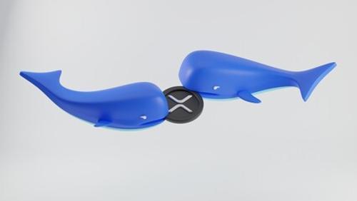 XRP鲸鱼抛售加剧，价格面临看跌交叉风险