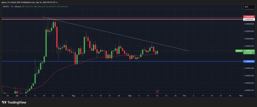 XRP/BTC 图表 by Gonzo