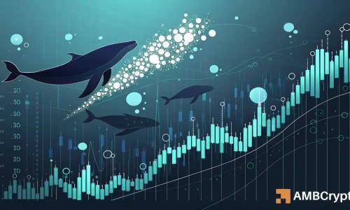 SPX暴涨12%背后：鲸鱼囤积与流动性集群推升看涨预期