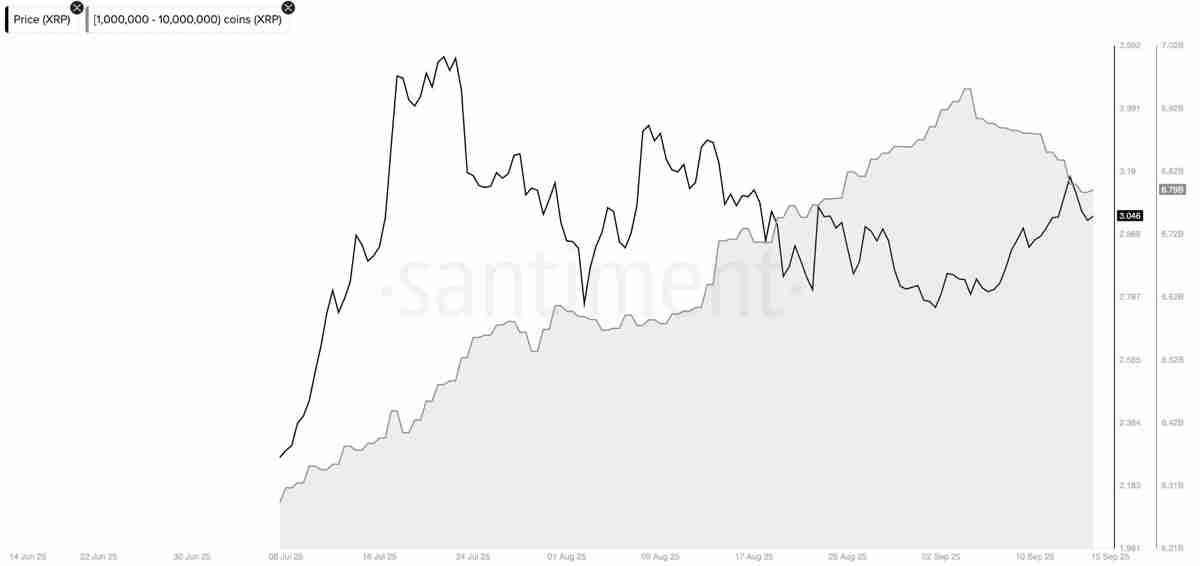 详细了解瑞波币（XRP）反弹停滞现3美元假突破，巨鲸持续抛压致上涨动能衰竭