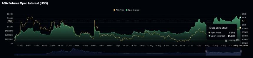  霍斯金森在乐观声明中宣称：“卡尔达诺将打破互联网” 