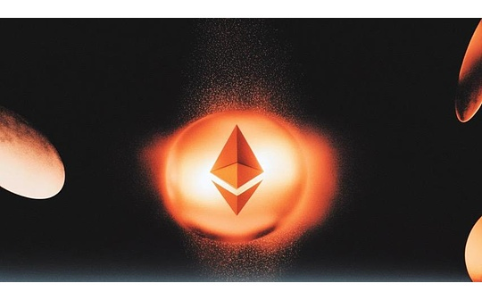 哈佛大学比特币ETF持仓超谷歌 资本布局加速