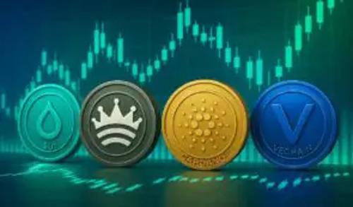 PayFi崛起推低价山寨币上涨，SUI、ZX等突破关键阻力