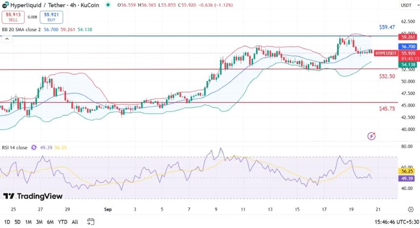 Hyperliquid 价格守住 55 美元支撑位，有望回升至 60 美元