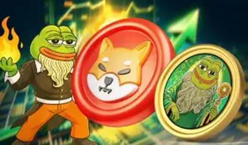 比特币波动加剧，机构增持与期权信号揭示市场新趋势