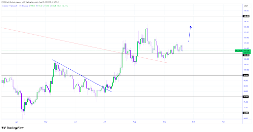 莱特币价格在下降楔形中酝酿突破，分析师密切关注关键支撑与阻力