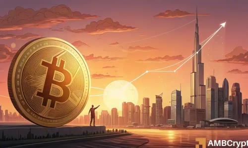 比特币涨势持续？LTH回归与网络活跃度飙升预示新牛市