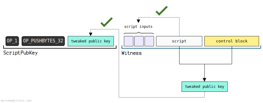 一文系统地理解比特币地址相关的知识体系