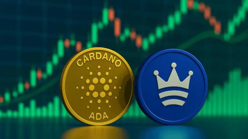 分析师将 Zexpire 与 Cardano 进行比较后，Zexpire 成为目前最佳投资加密货币