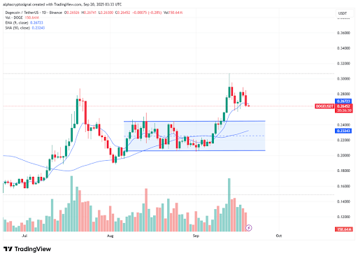 狗狗币再现看涨信号：突破关键通道，历史形态或预示新一轮暴涨